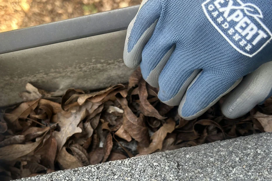 Gutter Cleaning Temple Terrace FL