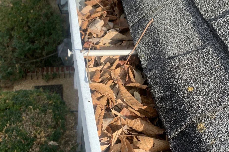 Gutter Cleaning Temple Terrace FL