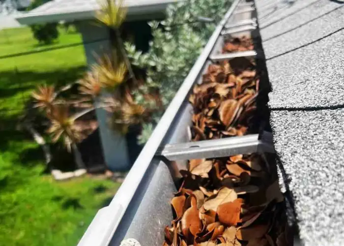 Gutter Cleaning Temple Terrace FL home page